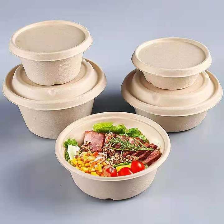 Eco-friendly biodegradable sugarcane bagasse bowl