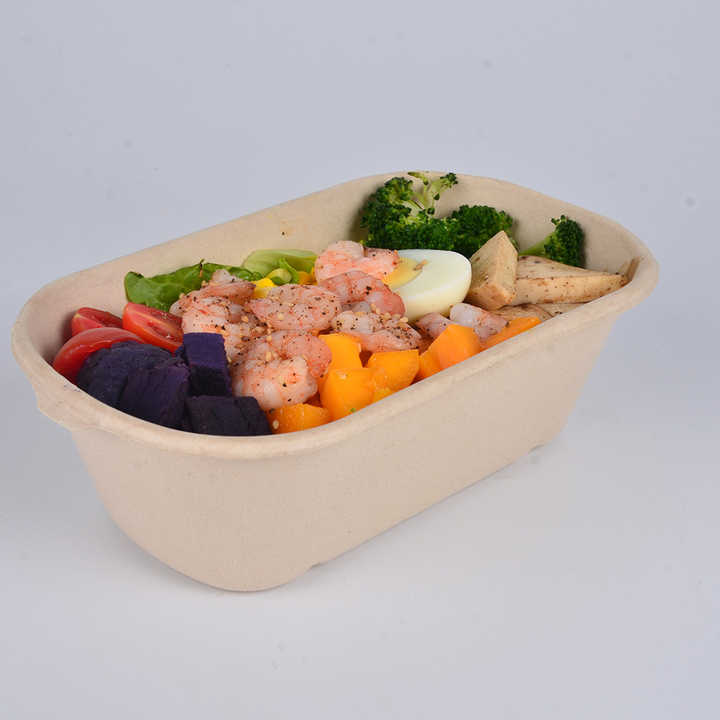 Paper Pulp Sugarcane Biodegradable Bagasse Lunch Box