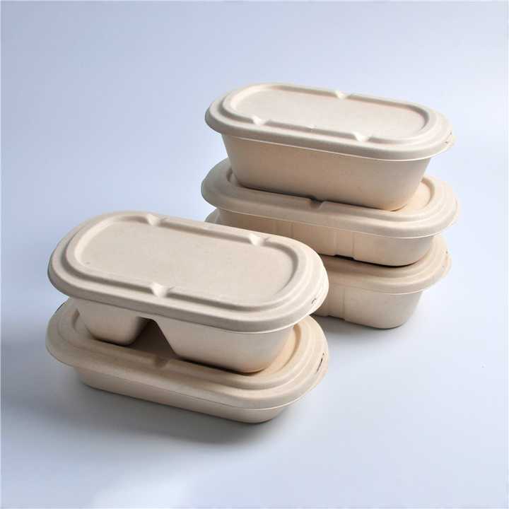 Paper Pulp Sugarcane Bagasse Biodegradable Lunch Box